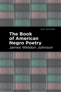 The Book of American Negro Poetry_cover