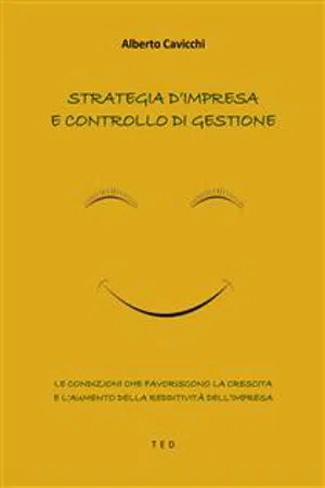 Strategia d'impresa e controllo di gestione