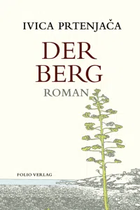 Der Berg_cover