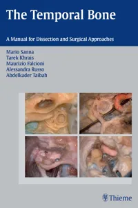 The Temporal Bone_cover