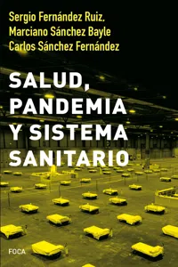 Salud, pandemia y sistema sanitario_cover