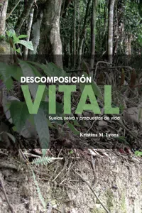 Descomposición vital_cover