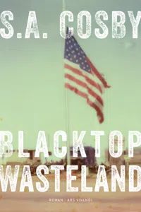 Blacktop Wasteland_cover