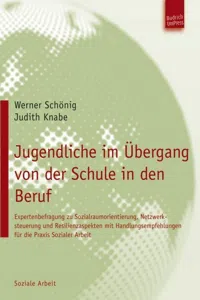 Jugendliche im Übergang von der Schule in den Beruf_cover