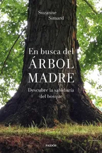 En busca del Árbol Madre_cover