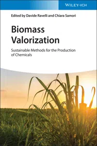 Biomass Valorization_cover