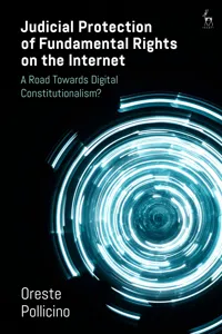 Judicial Protection of Fundamental Rights on the Internet_cover