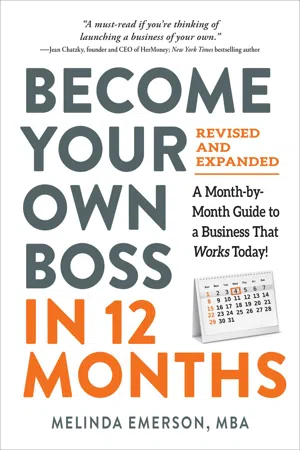 Become Your Own Boss in 12 Months, Revised and Expanded