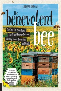 The Benevolent Bee_cover