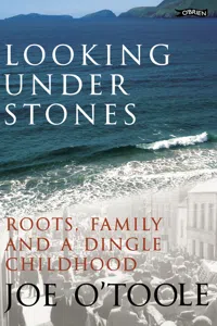 Looking Under Stones_cover