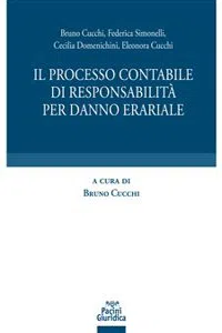 Il processo contabile di responsabilità per danno erariale_cover