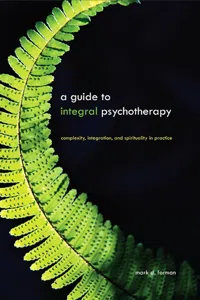 A Guide to Integral Psychotherapy_cover