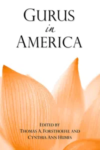 Gurus in America_cover