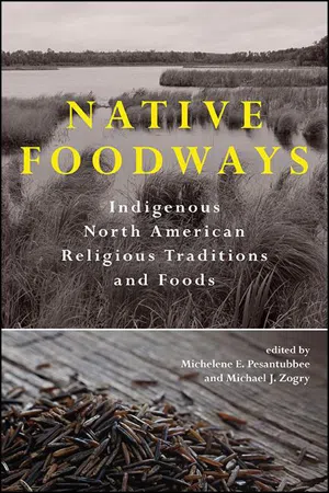 SUNY series, Native Traces