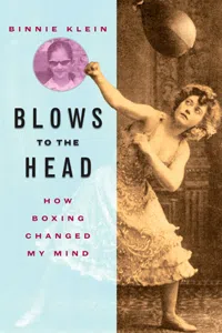 Blows to the Head_cover