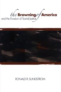 The Browning of America and the Evasion of Social Justice_cover