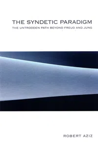 The Syndetic Paradigm_cover