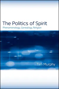 The Politics of Spirit_cover