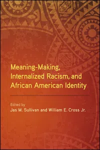 Meaning-Making, Internalized Racism, and African American Identity_cover