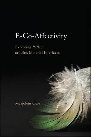 E-Co-Affectivity