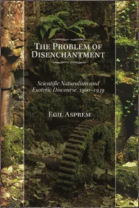 The Problem of Disenchantment_cover