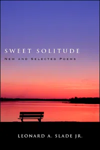 Sweet Solitude_cover