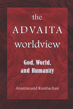 The Advaita Worldview