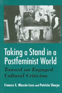 Taking a Stand in a Postfeminist World_cover