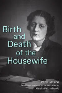 Birth and Death of the Housewife_cover