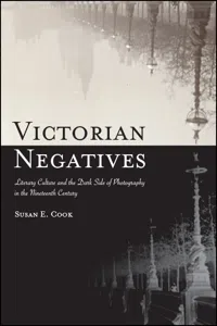 Victorian Negatives_cover