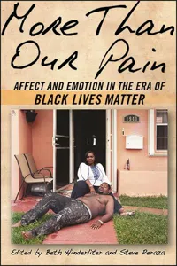 SUNY series in African American Studies_cover