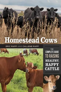 Homestead Cows_cover