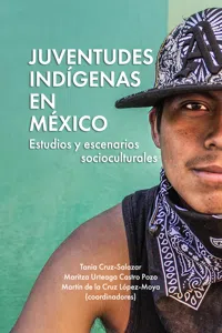 Juventudes indígenas en México_cover