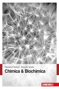 Chimica & Biochimica_cover