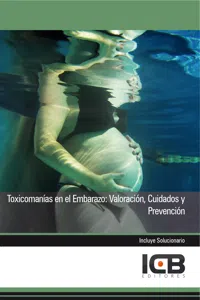 TOXICOMANÍAS EN EL EMBARAZO: VALORACIÓN, CUIDADOS Y PREVENCIÓN_cover