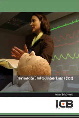 REANIMACIÓN CARDIOPULMONAR BÁSICA (RCP)