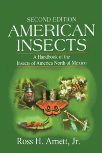 American Insects_cover