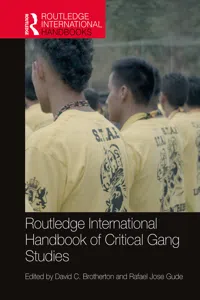 Routledge International Handbook of Critical Gang Studies_cover