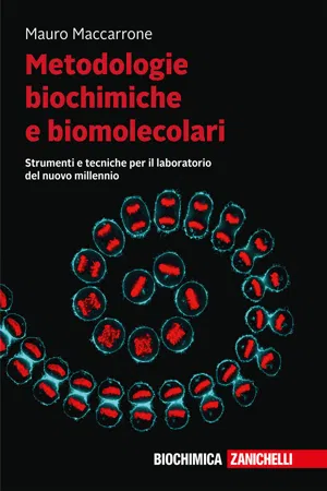 Metodologie biochimiche e biomolecolari