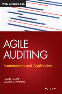 Agile Auditing_cover