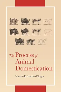 The Process of Animal Domestication_cover