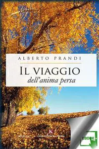 Il viaggio dell'anima persa_cover