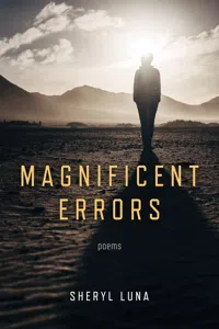 Magnificent Errors_cover