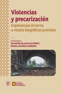 Violencias y precarización_cover