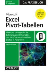 Microsoft Excel Pivot-Tabellen – Das Praxisbuch_cover