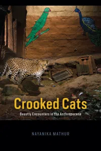 Crooked Cats_cover