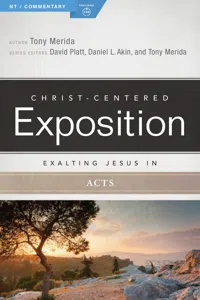 Exalting Jesus in Acts_cover