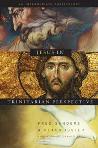 Jesus in Trinitarian Perspective_cover