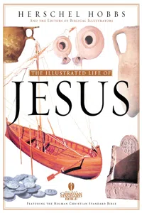 Illustrated Life of Jesus_cover