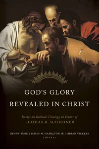 God's Glory Revealed in Christ_cover